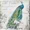 Paris Peacock & Peacock Rose by Mary Jane Creative 14" x 14" Canvas Wall Art (Set of 2)